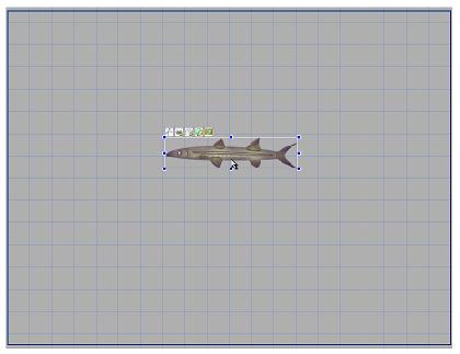 Image:FishGameTutorialImage2.1.2.JPG