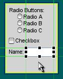 Image:OptionsMenu NameField.JPG