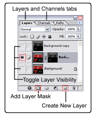 Image:photoshop.jpg