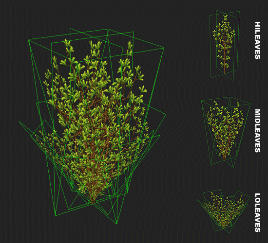 Image:hierarchyshrub.gif